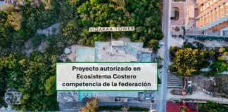 Organizations in Quintana Roo are asking Semarnat to review the actions of the state environmental authority