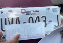 Goodbye to free vehicle registration in Quintana Roo: license plate replacement will cost 1,584 pesos starting today