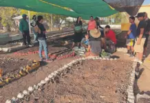 Orchards are being created in Coahuila to give new life to the region