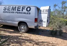 Four homicides in one month in Bahía Tortugas, Baja California Sur; burned vehicle found