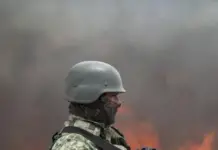 Mexico’s Long War: Drugs, Crime, and the Cartels