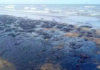 Oil spills hit Tabasco: beaches, river and tourism