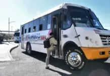 There will be free transportation to the Strawberry Festival in Irapuato