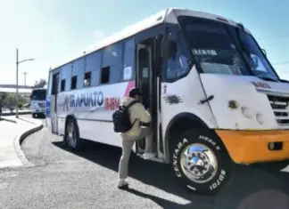 There will be free transportation to the Strawberry Festival in Irapuato