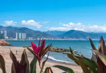 Carnival Cruise Line, Holland America Line, and Princess Cruises Cancel All Stops to This Popular Destination Over Safety