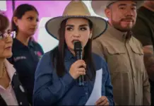 Grecia Quiroz is considering running for governor of Michoacán in 2027