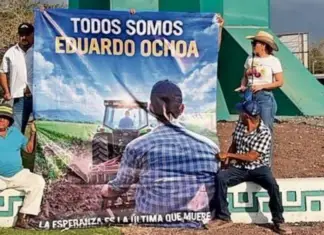 CJNG extortion of banana growers extends to Colima