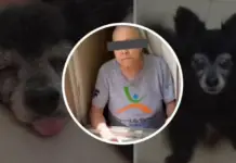 The ‘Dog Killer Grandma’ of Coyoacán is released; she is confronted upon leaving the courthouse