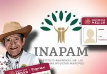 INAPAM card in Yucatán: how to apply in 2026 and what documents you need