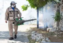 High risk of dengue and chikungunya reported in 15 municipalities of Yucatán; Mérida tops the list