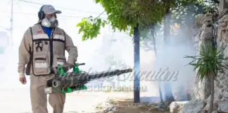 High risk of dengue and chikungunya reported in 15 municipalities of Yucatán; Mérida tops the list