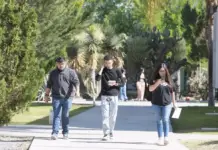 Professionals in Durango are highly qualified, but many are not practicing: FECOP