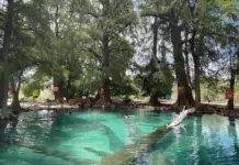 Discover the “Tulum of Puebla”! The turquoise water paradise that’s taking TikTok by storm