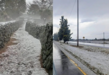 Edomex, Puebla, Hidalgo and Veracruz are blanketed in white after today’s hailstorm