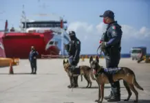 Dangerous neighbor: Yucatán resists while peace in Quintana Roo deteriorates