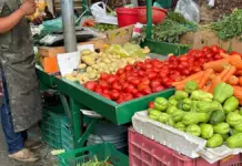 Santa Gertrudis Market in Orizaba has changed its opening hours: here’s how you can enjoy it all week long