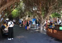 Business tourism, conventions and incentive travel boost Sinaloa internationally: Sectur