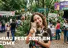 Kittens for adoption, food and more at the Miau Fest 2026 in Mexico City: when and where will it be?