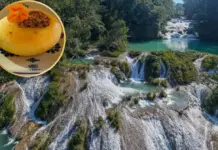 Unique plans in Chiapas: hidden waterfalls and the Ocosingo cheese you absolutely have to try
