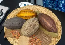 The Cocoa and Chocolate Festival is presented in Puerto Vallarta