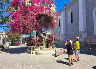 Mazatlán is establishing itself as a leading destination for cruise tourism at the national and international levels.