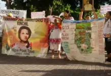 Residents of Yucatán denounce environmental devastation and demand a review of permits for real estate companies