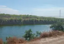 Rain is expected in April and May to alleviate the water crisis in Nuevo Laredo