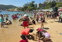 Destinations in Guerrero start March with 60% hotel occupancy