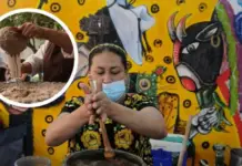 When and where is the Tejate Fair, the celebration dedicated to the “drink of the gods” in Oaxaca?