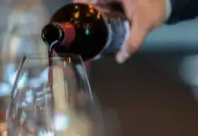 San Miguel de Allende invites you to experience Fermente Fest, an experience between flavors and tradition