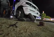 Tire spikes were thrown on a Durango boulevard, damaging several vehicles, including a patrol car.