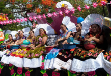 Zapotec population: identity, work and migration that strengthen the Sinaloa countryside
