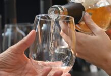 Why was San Miguel de Allende chosen as the best wine region in Mexico? It will host a world gala in 2026.