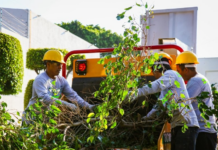 Green Routes through the best parks in Cuernavaca