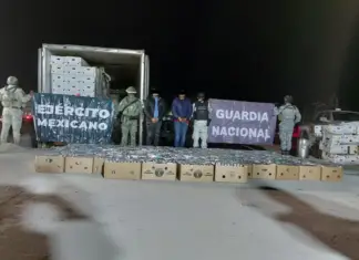 Million-dollar blow to drug trafficking: nearly two tons of cocaine seized in Sonora