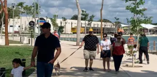 Following pit bull attack in La Plancha, the City Council seeks to regulate dog ownership in Mérida