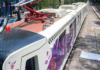 Mexico City Light Rail Now Offers Service at All Stations: This Is What the Axolotl Looks Like