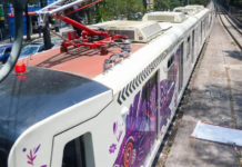 Mexico City Light Rail Now Offers Service at All Stations: This Is What the Axolotl Looks Like
