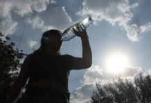 Quintana Roo, Yucatán and Campeche: extreme heat wave already claims victims