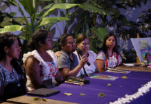 “Las Ausentes” (The Absent Ones), a book that brings visibility to the disappearance of indigenous and Afro-Mexican women in Oaxaca, is presented.