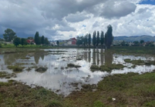San Cristóbal faces a water crisis; protected wetlands are being filled in and destroyed