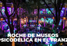 Museum Night in Mexico City: This is what the BioFunky “mushroom dance” at the Franz Mayer Museum will be like