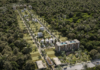 Ten real estate projects halted due to jungle devastation in Puerto Morelos