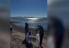 Associations reject cruise ships in the Port of Loreto, Baja California Sur; “it is a threat to blue whales,” they say.