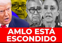 The end of the impunity network: Key officials abandon Rocha Moya and hand over the López Obrador regime to US justice.