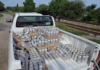 They fled without the loot! Nearly 500 beers were stolen from the train as it passed through Piedras Negras.