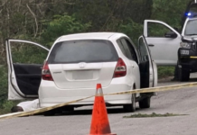 Four farmers were murdered in Campeche to steal their Sembrando Vida (Sowing Life) program benefits.