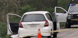 Four farmers were murdered in Campeche to steal their Sembrando Vida (Sowing Life) program benefits.