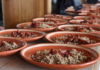 Jalisco joins the Michelin Guide