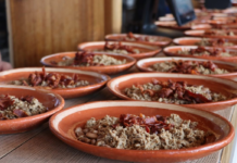 Jalisco joins the Michelin Guide
